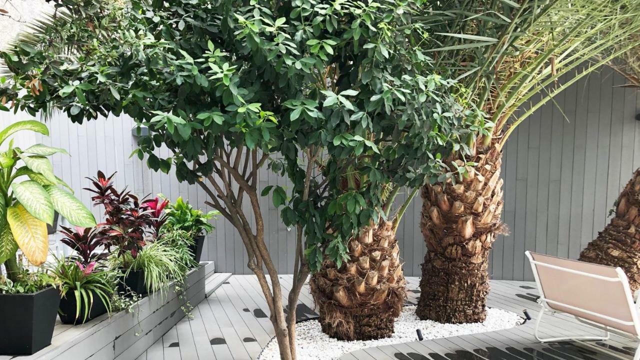 פוארטו ריקו Calypso Boutique Apartments מראה חיצוני תמונה